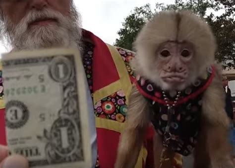 Bloomfield Senior Home Pulls Plug On Cruel Monkey Show Peta