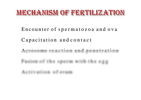 Solution Fertilization Full Explain Notes Pdf Studypool