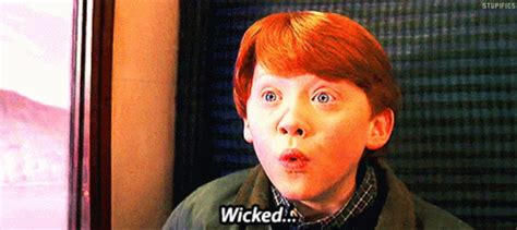 Harry Potter Ron Weasley Gif Harry Potter Ron Weasley Wicked
