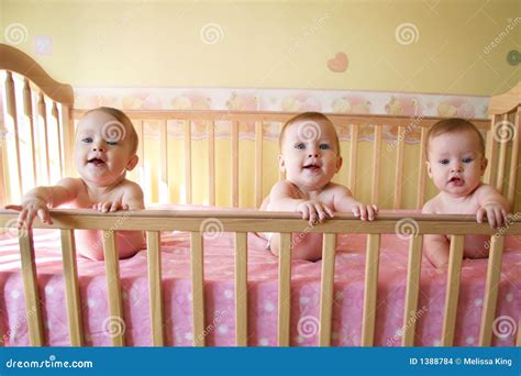 Triplet Baby Girls Stock Photo Image Of Cheerful Baby 1388784