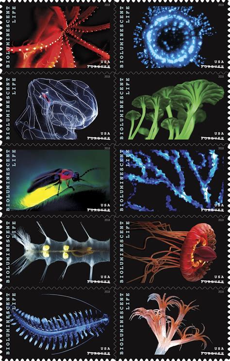 South Florida Postal Blog Bioluminescent Life Stamps Bring Ocean