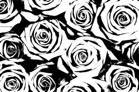 Rose Black And White Background High Quality Abstract Stock Photos