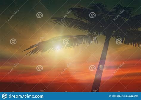 Orange Sunset Tropical Island Blue Sunset Light Sun Reflection Blue Sky