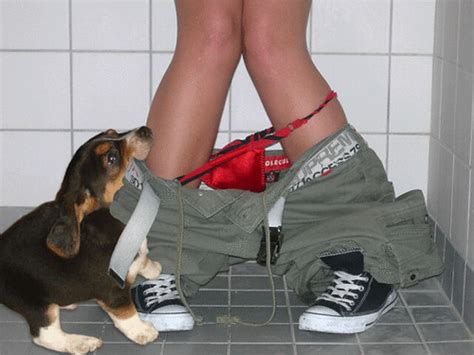 Woman Jailed For Having Sex With Beagle Pic Inside Realgm