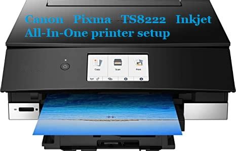 Launch the printer driver setup window and select the quick setup tab. www.canon.com/ijsetup: Canon Pixma TS8222 Inkjet All-In-One printer setup