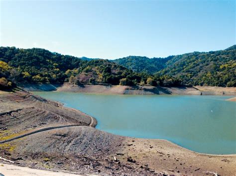 Cheap Water For Agriculture Worsens California Water Crisis San Jose