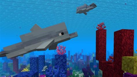 They are found worldwide, mostly in the shallower seas of the continental shelf. What do Dolphins Eat in Minecraft: How to Feed Dolphins ...