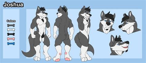 My Ref Sheet For My Wolf Fursona Joshua Also Rl Name Made By