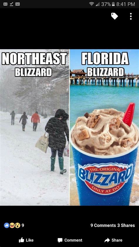 Florida Man Meme Florida Quotes Florida Funny Florida Girl Visit Florida Florida Living