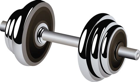 Dumbbell Png Transparent Image Download Size 3513x2065px