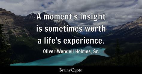 A moment's insight is sometimes worth a life's experience. - Oliver ...