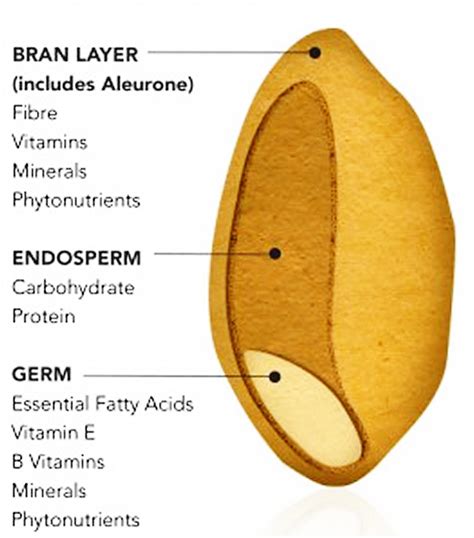 What Is Whole Grain Whole Grain Vs Whole Wheat