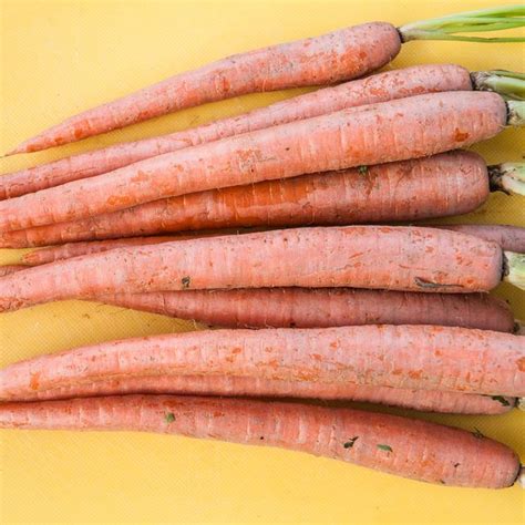 For best results, we don't recommend freezing raw zucchini without blanching. How to Freeze Carrots Without Blanching | Freezing carrots ...