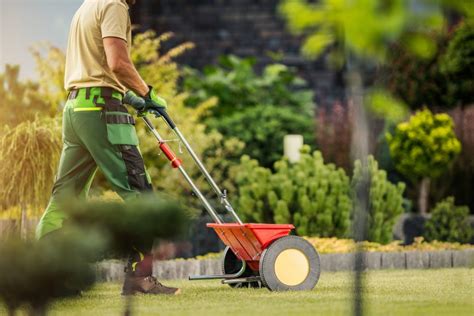 How To Easily Fix Uneven Lawns For A Flawless Yard Glover Landscapes