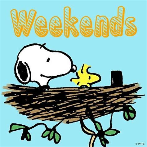 232 Best Snoopypeanuts Days Of Week Images On Pinterest Charlie