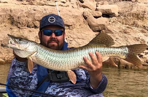 Tiger Muskie In 2023 Fishing Adventure Bluewater Tiger
