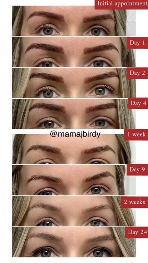 Microblading Healing Day By Day In Permanent Makeup Eyebrows