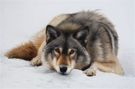 Winter Wolf Wolf Oil Painting Wolf Art Wal Art Home Decor Original