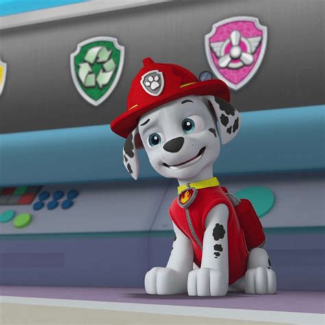 Paw Patrol S Ep Pups Leave Marshall Home Alone Pups Save The Deer