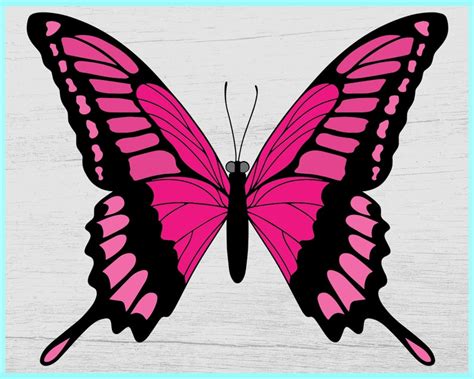 Butterfly Svg Layered Butterfly Svg Butterflies Svg Etsy