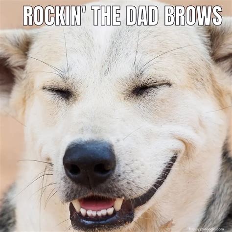 Smiling Dog Memes To Make Your Day Brighter 🤩 Happy Go Doodle