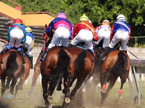 Top Reasons Why Horse Racing So Popular And Popular Horse Racing Events