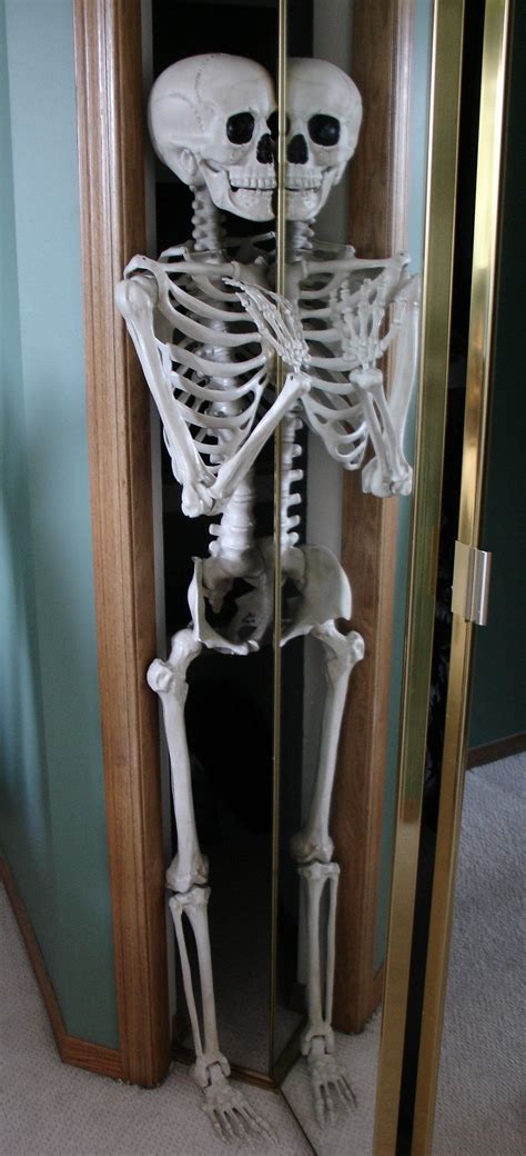 Skeleton In The Closet Take 1 Bone Art Skeleton Model Art
