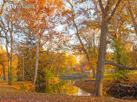 Fall Leaf Color Reflected In A Small Stream Howard County Indiana 이미지