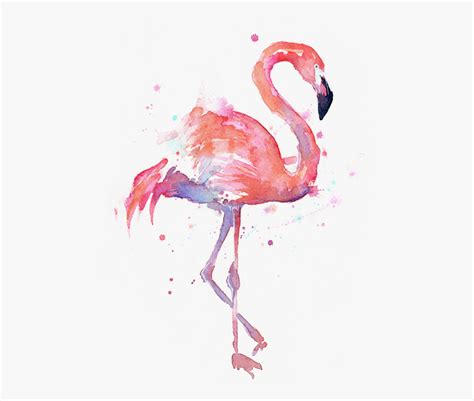 Download High Quality Flamingo Clip Art Whimsical Transparent Png