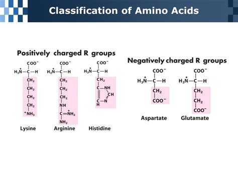 Ppt Chapter 3 Amino Acids Peptides And Proteins Powerpoint