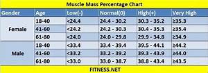 Everything About Muscle Mass Percentage With Charts Fitness Sports