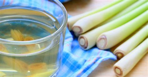 Lemongrass Tea Benefits Uses And Recipe