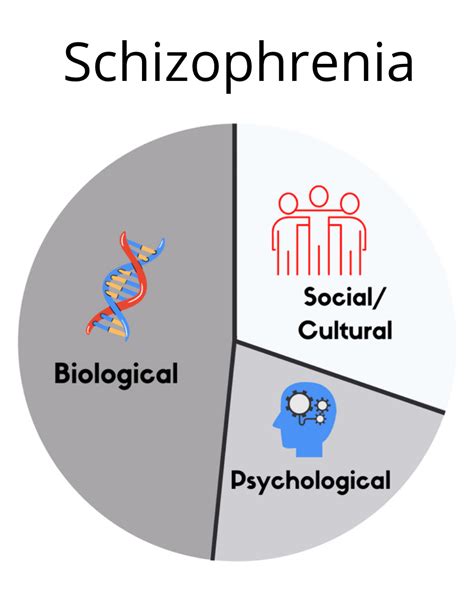 Perspectives On Schizophrenia Abnormal Psychology