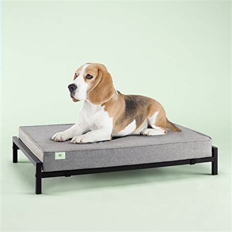 Our Top 6 Picks For The Best Elevated Dog Beds Of 2021 Advice For Dogs