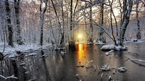 Wallpaper 1920x1080 Px Cold Forest Frost Landscape