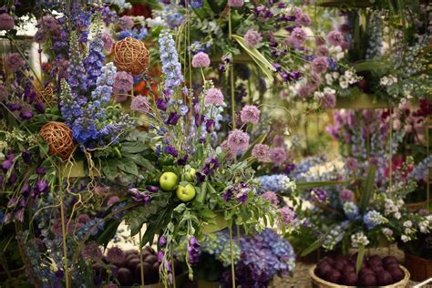 Beautiful Blooms At Chelsea Flower Show Photos Image 101 Abc News