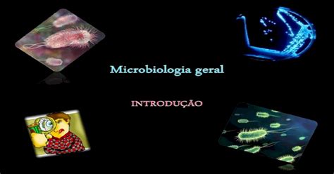 Os Organismos Microscópicos Necessitam De Vários Processos Para Uma Devida