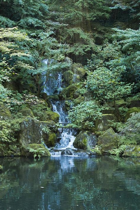 Waterfall Garden Pond Water Plants Rocks Japanese Peaceful