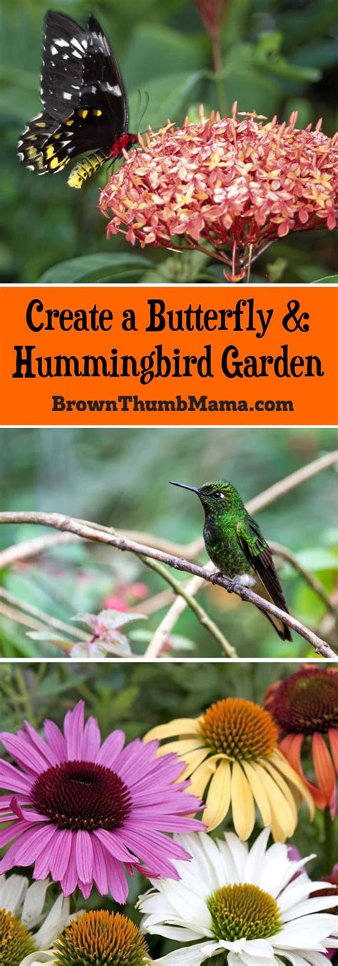 Here are nine other butterfly plants recommended by dr. Create a Butterfly & Hummingbird Garden | Brown Thumb Mama