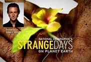Sea Studios Foundation: Strange Days on Planet Earth Season One