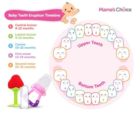 How Do You Know When A Baby Is Teething