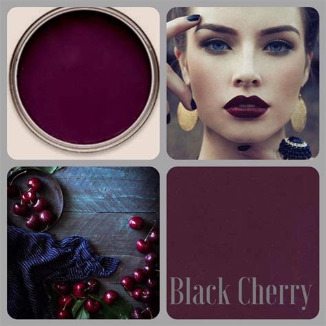 Dark Cherry Color Paint Olena Web