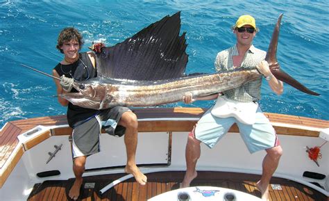 Cairns Fishing Charters Marlin Australian Sportfishing Charters
