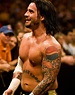 File:CM Punk RAW 800.jpg - Wikipedia