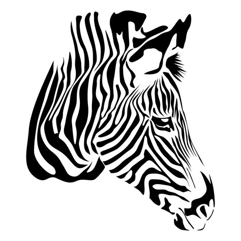 Download Vector for free use: Zebra on white