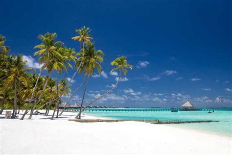Hľadáte raj na zemi Nehľadajte našli ste ho Týchto najkrajších pláži Maledív vám s