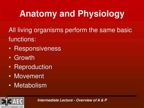 Ppt Overview Of Anatomy And Physiology Powerpoint Presentation Free