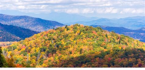 The 20 Best Pisgah National Forest Hiking Trails In North Carolina