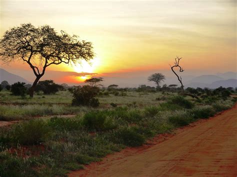 Tsavo East National Park Kenya Voyage En Afrique Parcs Lac Victoria