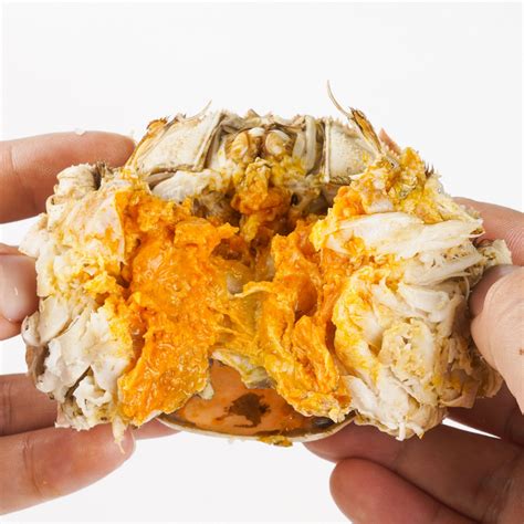 Fotoğraf Yengeç Crab Roe Hairy crabs Gıda Kehribar rengi bileşen
